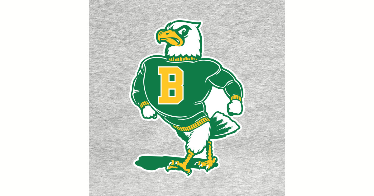 Brockport Golden Eagles Mascot Brockport Onesie TeePublic